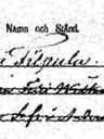 Record image of Johan Felix Kustaanpoika Gustafsson Wilkman