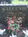Record image of Emil Ludvig Wallenius