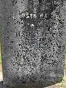 Record image of Elizabeth Eliza Arms