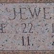 Record image of Lottie Jewel Plew (born Black)