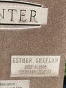 Record image of Esther S Winter (born Sheflan)