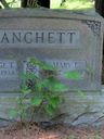 Record image of Mary Earnsteen Hanchett (born Hulin)