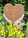 Record image of Reino Aukusti Salmela