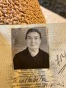 Record image of Rosaria Teresa Eufemia Messina (born Furina)