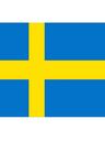 Record image of Sigfrid Sigfridsson "Sigfrid Sigfridsson Brunskog" Mangen