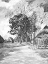 Record image of Berent Hilberts