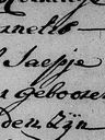 Record image of Japie Jaepje Pietersdr Jaapje Witteman (born van der Boot)