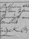 Record image of Kateřina Janeček (born Věřiš)