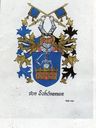 Record image of Sofia Mikontytär Schöneman (o.s. Kinnunen)