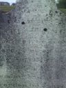 Record image of Maria Groff Wenger (geb. HORST)