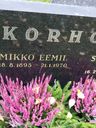 Record image of Saimi Maria Korhonen (born Okkonen)