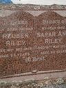 Record image of Mr Thomas Roberts Riley