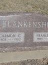Record image of Frances Lillian Blankenship (born Frisbie)