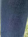 Record image of Mary Elizabeth Elmer (z d. Loveless)