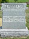 Record image of Lucy Jane Anderson (born Bingham)