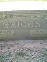 Record image of IDA IDIS BRIGGS (born BANKS)