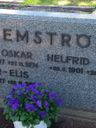 Record image of Oskar Elis Lemström