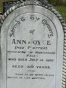 Record image of Ann Joyce (born Trotter)
