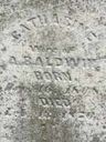 Record image of Catharine Baldwin (born Fox)