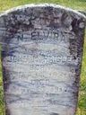 Record image of Nancy Elvira Haigler (born Beard)