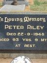 Record image of Peter Riley