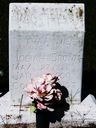 Record image of Tabitha Ann Dorcas Brown (born West)