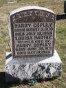 Record image of Henry Albert Copley