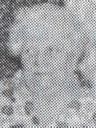 Record image of Hilma Lovisa* (Lova) Boman (born Sjögren)