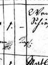 Record image of Margaretha Pitka (born Schüss)