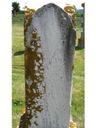 Record image of Carolina Ragatz (geb. Meyer)