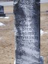 Record image of Susannah Ross (born Steffey)