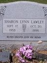 Record image of Sharon Lynn Lee (born Lawley)