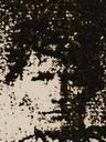 Record image of Lara "Belle" Martin (nacida White)