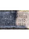 Record image of Wilson Riley Daniels