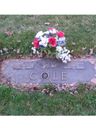 Record image of Mark A Cole