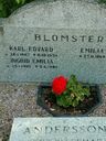 Record image of Carl Edvard "Karl" Blomster