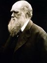 Record image of Charles Robert Darwin