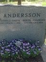 Record image of Bertel Johannes Andersson