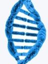 Record image of Maria Svensson (o.s. Olofsdotter)