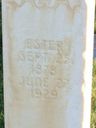 Record image of Esther Violate Burgess (born Chidester)