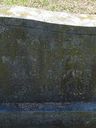 Record image of Susan Frances Jones (nacida Green)