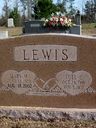 Record image of Mary Lee Lewis (born Madison)