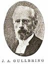 Record image of Johan Alfred Gullbring