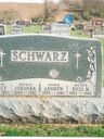 Record image of George Schwarz