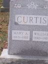 Record image of Frances Ellen Stephens Williams