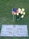 Record image of Pvt. Harry Lee Jones