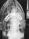 Record image of Daniel P. Brown