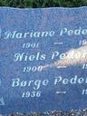 Record image of Niels Matias Pedersen