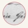 Record image of Giovanna Bortoletto (born Perencin)