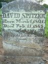Record image of David Holsinger Spitzer